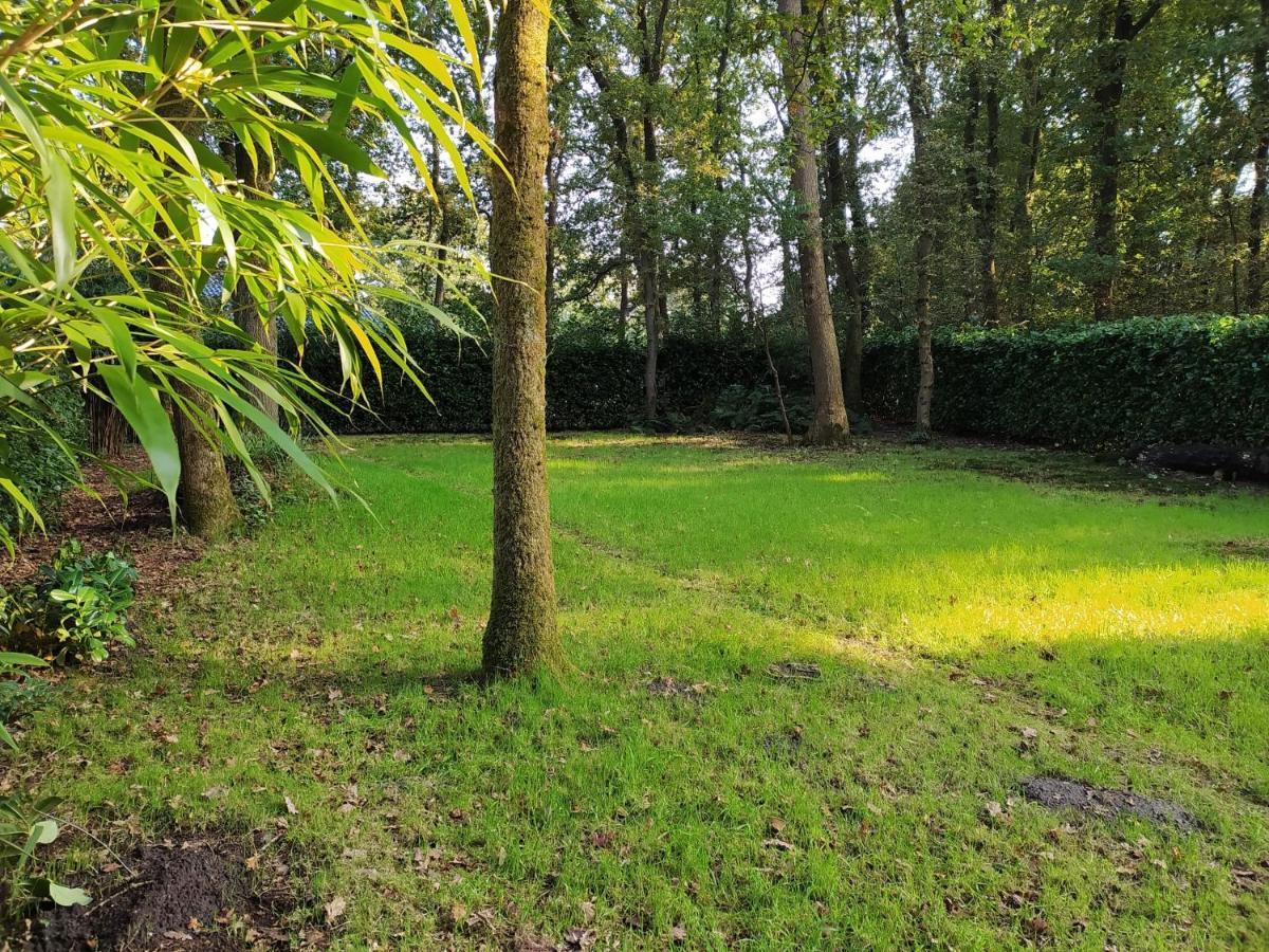 Apartmán Valouwe 54 Appelscha Exteriér fotografie